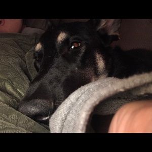 Meet your Posher, January